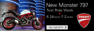 DUCATI Monster 797 web banner_300 x 100 px